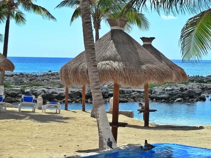 http://www.puertoaventurasrentals.com/custimages/QuintaLunaPool2.JPG